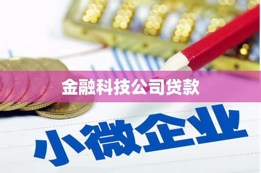 乌日金融科技公司贷款
