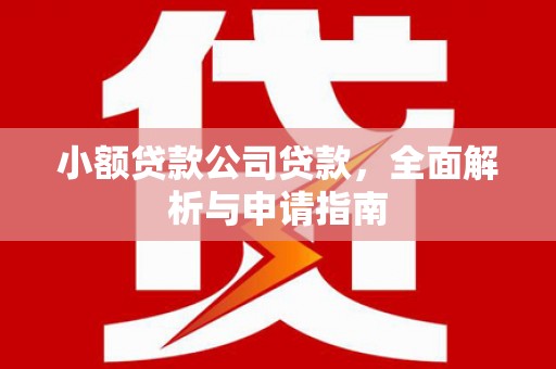 乌日小额贷款公司贷款，全面解析与申请指南