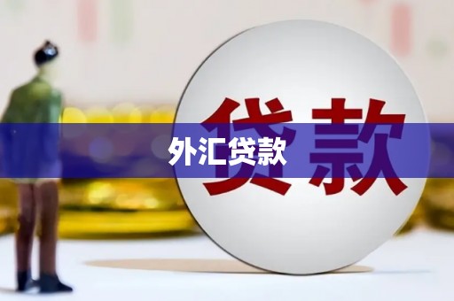 乌日外汇贷款