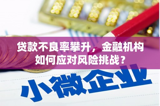 乌日贷款不良率攀升，金融机构如何应对风险挑战？