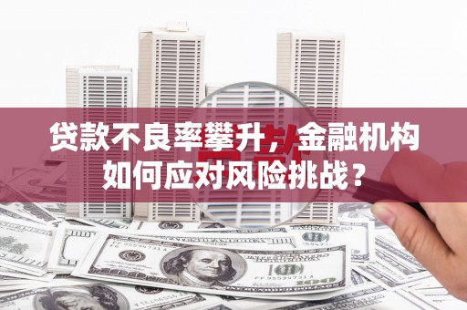 乌日贷款不良率攀升，金融机构如何应对风险挑战？