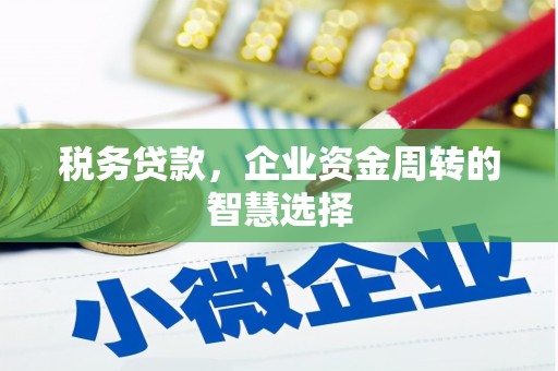乌日税务贷款，企业资金周转的智慧选择