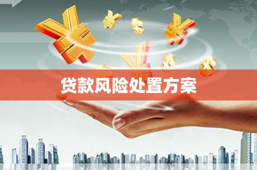 乌日贷款风险处置方案
