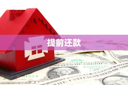 乌日提前还款