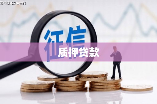 乌日质押贷款