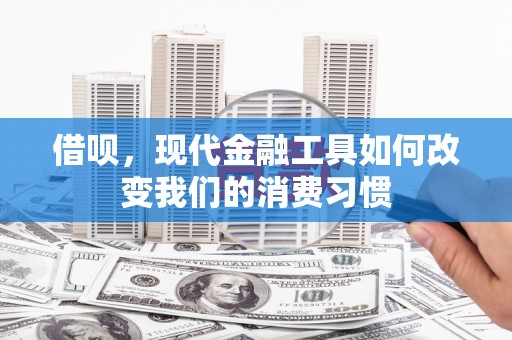 乌日借呗，现代金融工具如何改变我们的消费习惯