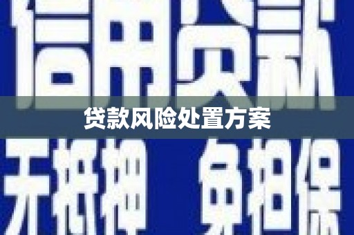 乌日贷款风险处置方案