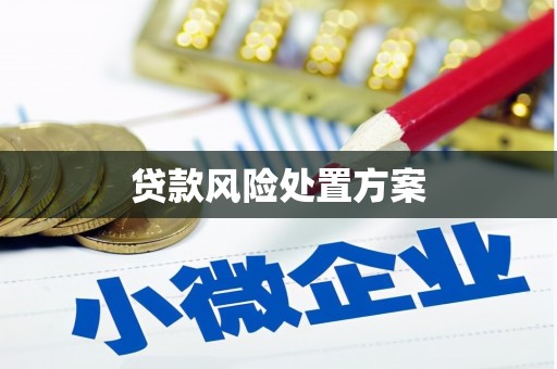 乌日贷款风险处置方案