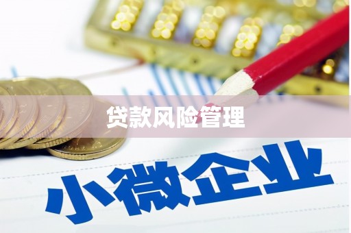 乌日贷款风险管理