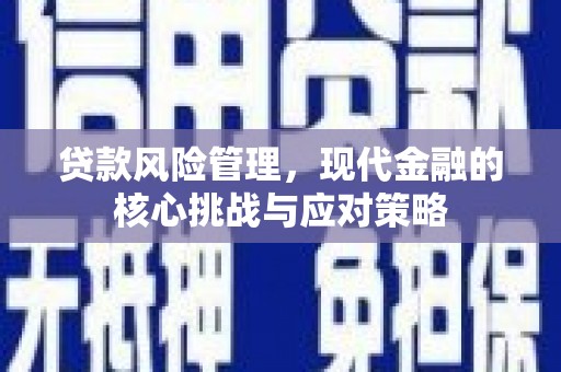 乌日贷款风险管理，现代金融的核心挑战与应对策略
