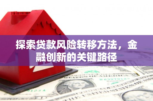 乌日探索贷款风险转移方法，金融创新的关键路径