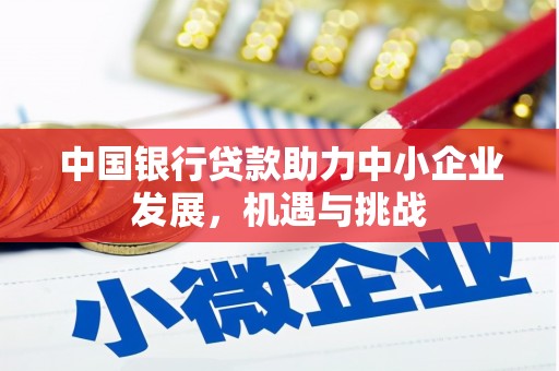 乌日中国银行贷款助力中小企业发展，机遇与挑战