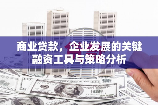 乌日商业贷款，企业发展的关键融资工具与策略分析