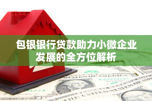 乌日包银银行贷款助力小微企业发展的全方位解析