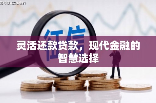 乌日灵活还款贷款，现代金融的智慧选择