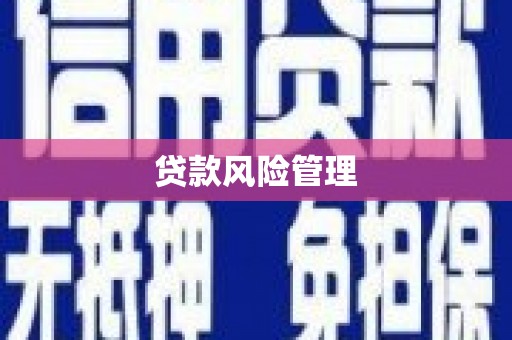 乌日贷款风险管理