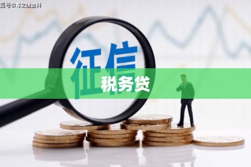 乌日税务贷
