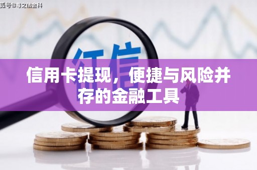 乌日信用卡提现，便捷与风险并存的金融工具