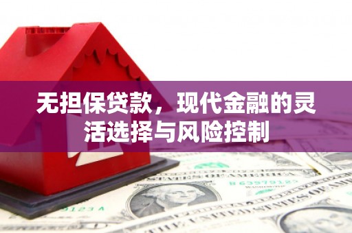乌日无担保贷款，现代金融的灵活选择与风险控制