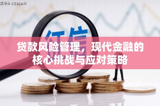 乌日贷款风险管理，现代金融的核心挑战与应对策略