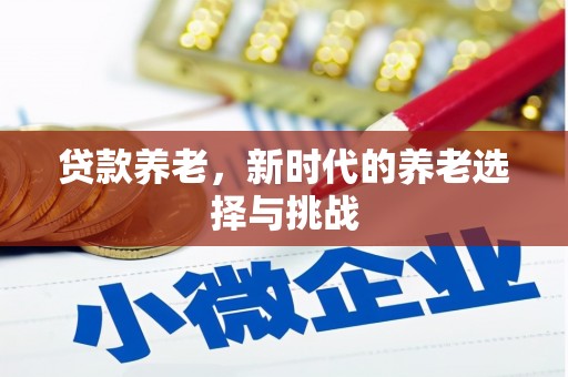 乌日贷款养老，新时代的养老选择与挑战