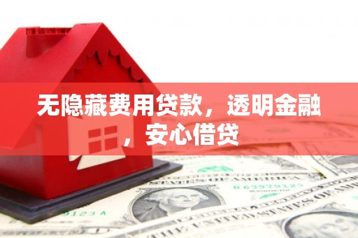 乌日无隐藏费用贷款，透明金融，安心借贷