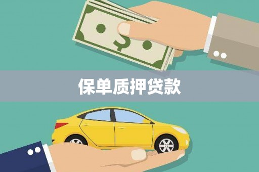 乌日保单质押贷款