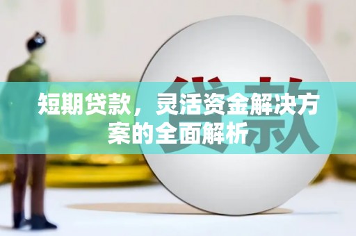 乌日短期贷款，灵活资金解决方案的全面解析