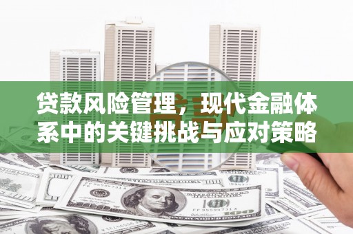 乌日贷款风险管理，现代金融体系中的关键挑战与应对策略