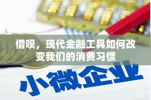 乌日借呗，现代金融工具如何改变我们的消费习惯