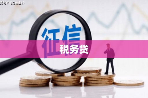 乌日税务贷