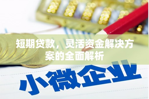 乌日短期贷款，灵活资金解决方案的全面解析