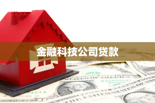 乌日金融科技公司贷款