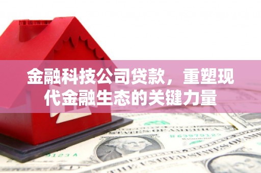 乌日金融科技公司贷款，重塑现代金融生态的关键力量