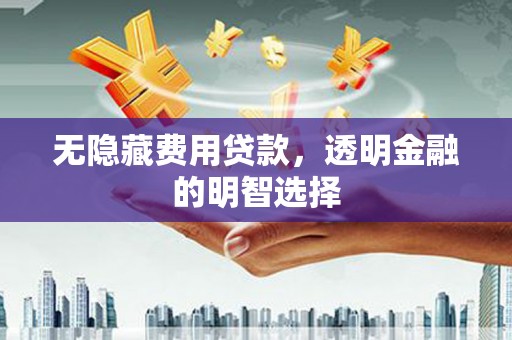 乌日无隐藏费用贷款，透明金融的明智选择