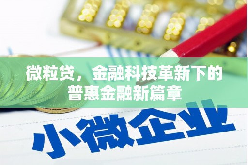 乌日微粒贷，金融科技革新下的普惠金融新篇章