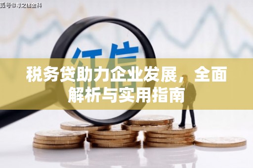 乌日税务贷助力企业发展，全面解析与实用指南