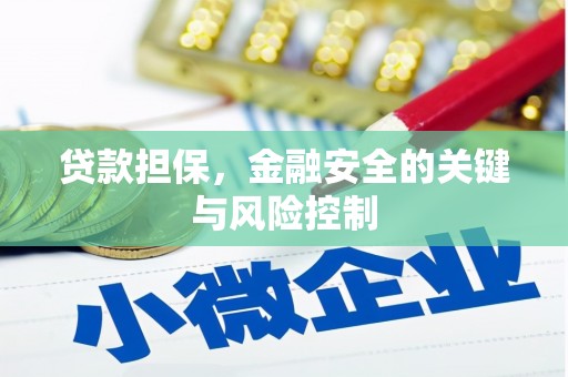 乌日贷款担保，金融安全的关键与风险控制