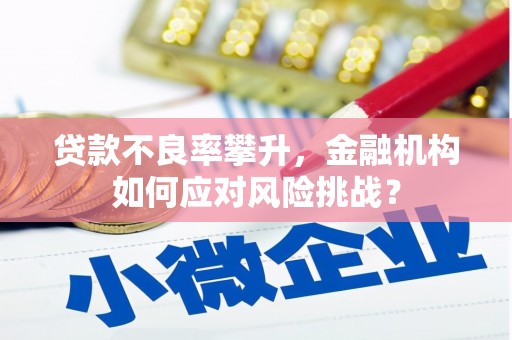 乌日贷款不良率攀升，金融机构如何应对风险挑战？