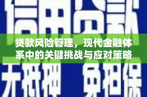 乌日贷款风险管理，现代金融体系中的关键挑战与应对策略