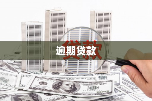 乌日逾期贷款